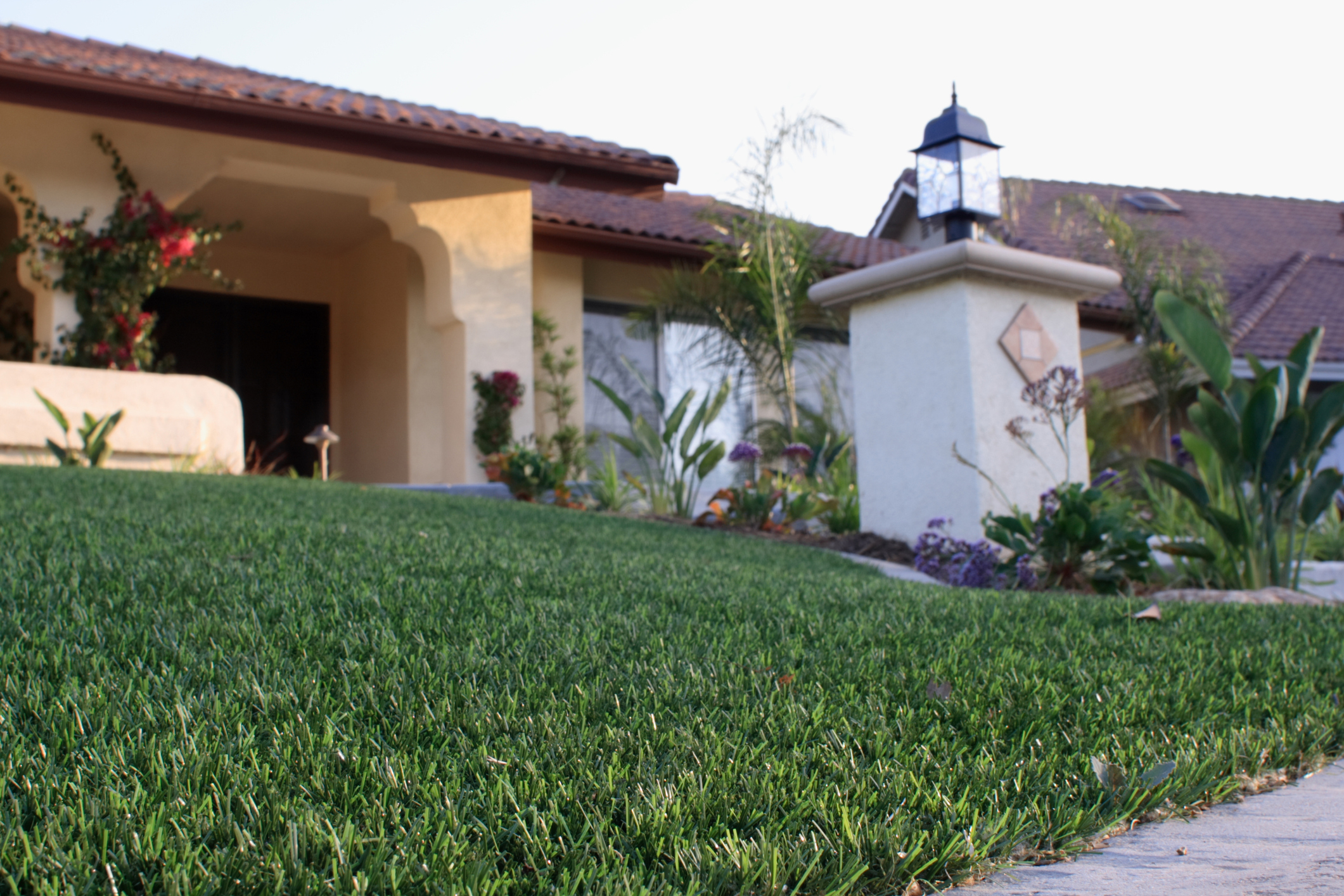 Front yard that combines artificial turf with natural plants.